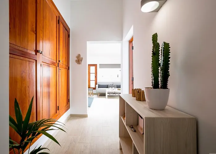Apartment Cactus